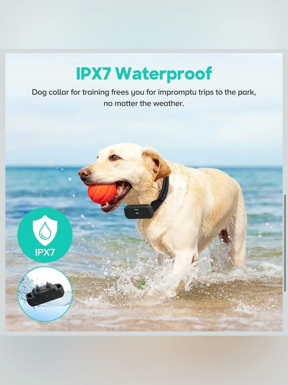 PECOLE Dog Training Collar Rechargeable Waterproof Remote 1600ft